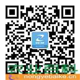 建设工程风险识别方法中属于专家调查法的是(建设工程风险识别方法中属于专家调查法的是什么)